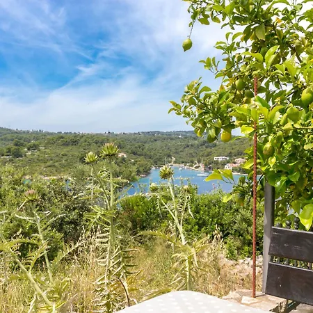 Apartment By The Sea Necujam, Solta - 2089 *